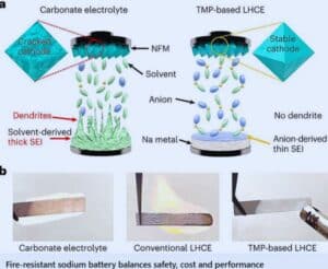 Electrolyte design strategy. a, Illustration of the components with a Na-metal battery after long-term cycling in carbonate-based electrolyte (left) and NaFSI–NaNO3–TMP electrolyte (TMP-based LHCE, right). b, Flammability tests of carbonate-based electrolyte, conventional LHCE and NaFSI–NaNO3–TMP electrolyte.