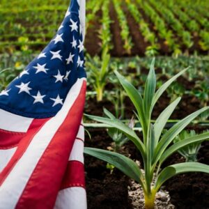 Boom manifatturiero verde in America: sfide e opportunità
